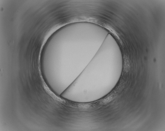 X0000066961080200604211835