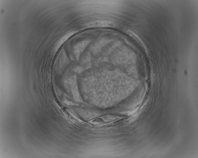 X0000066961081200604211835