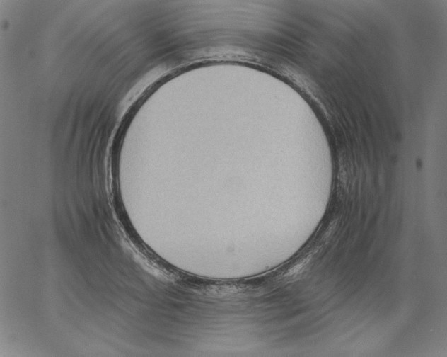 X0000066961082200604211835