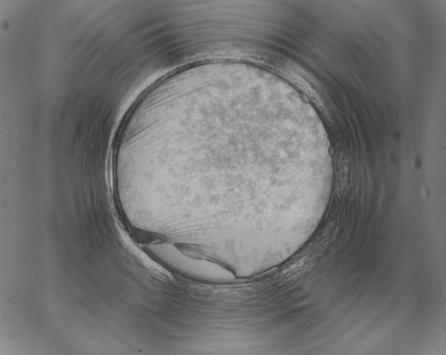 X0000066961084200604211835