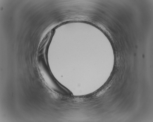 X0000066961085200604211835