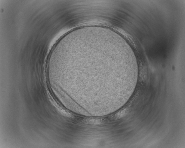 X0000066961086200604211835