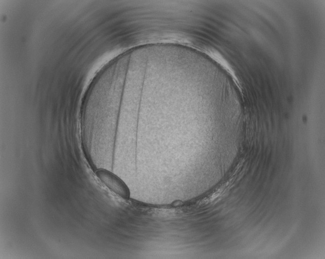 X0000066961088200604211835