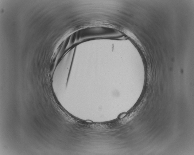 X0000066961089200604211835