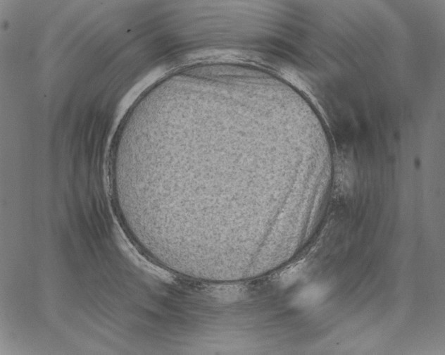 X0000066961090200604211835