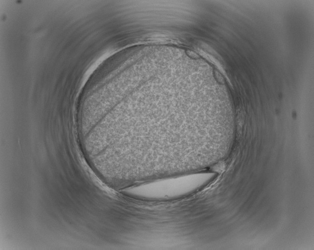 X0000066961091200604211835