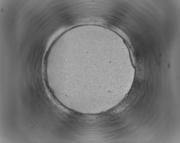 X0000066961096200604211835