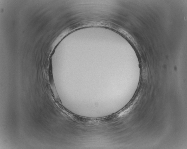 X0000066961097200604211835