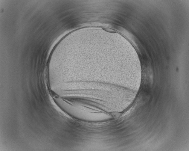 X0000066961100200604211835