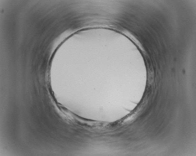 X0000066961101200604211835