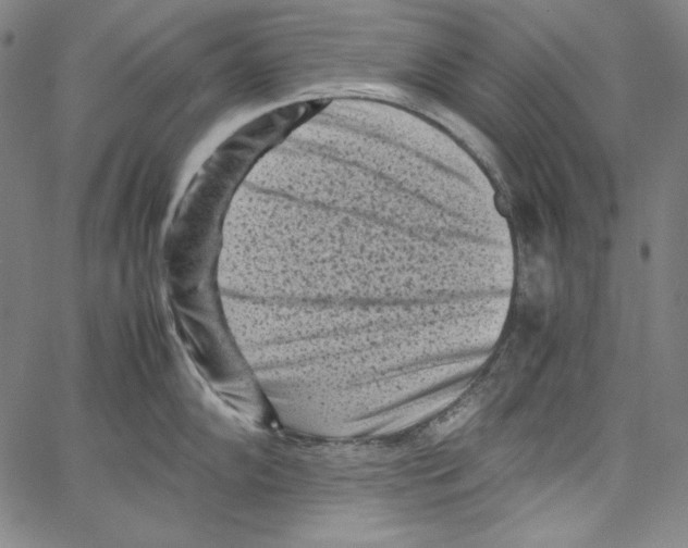 X0000066961102200604211835