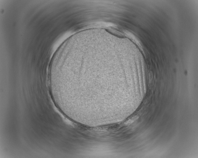 X0000066961103200604211835