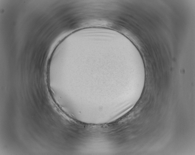 X0000066961104200604211835