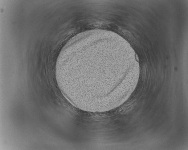 X0000066961105200604211834