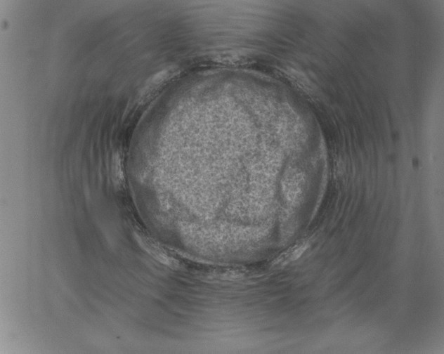 X0000066961106200604211834