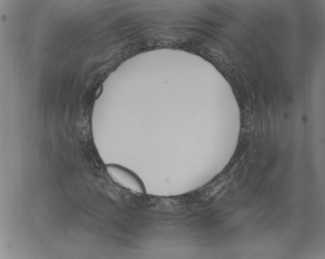 X0000066961109200604211834