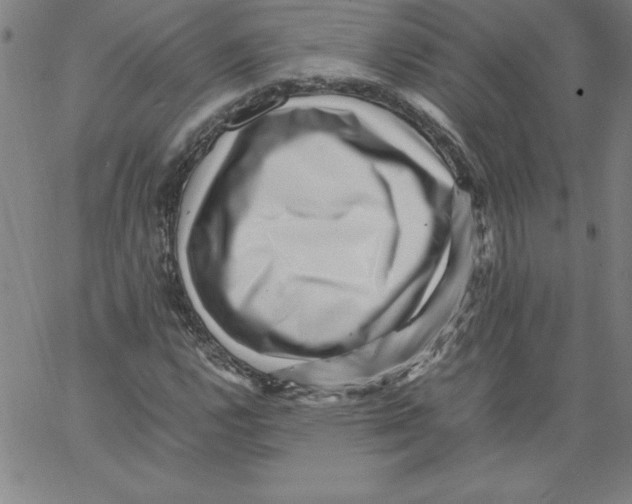 X0000066961112200604211834