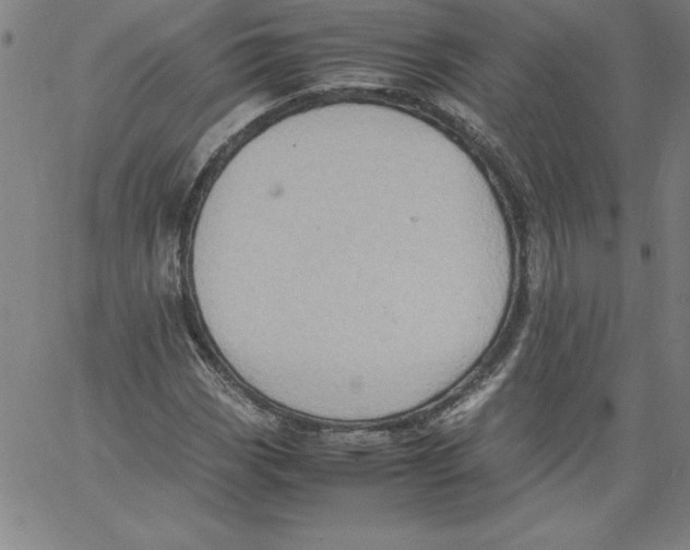 X0000066961113200604211834