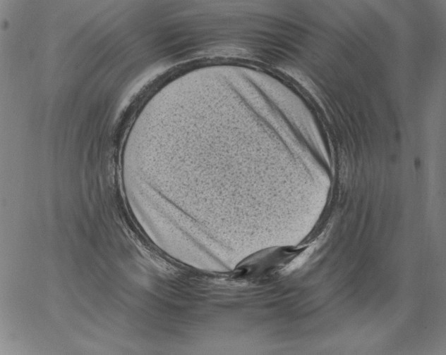 X0000066961115200604211834