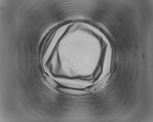 X0000066961116200604211834