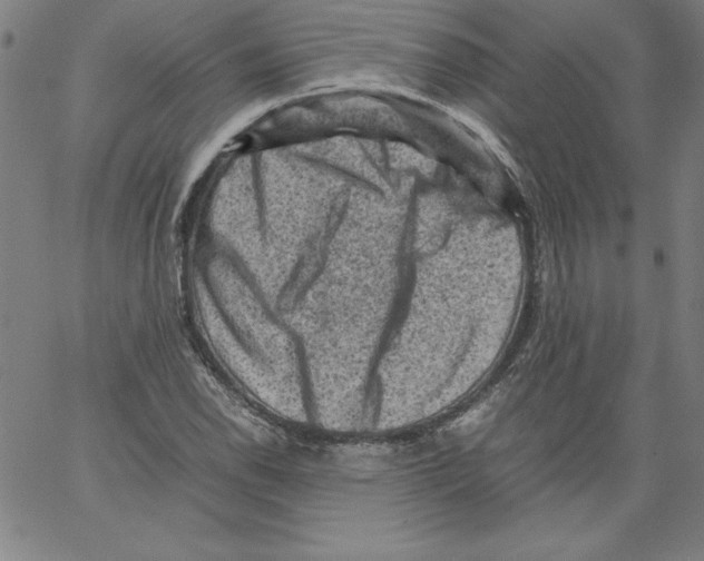 X0000066961118200604211834