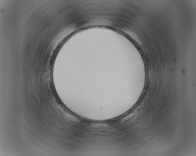 X0000066961119200604211834