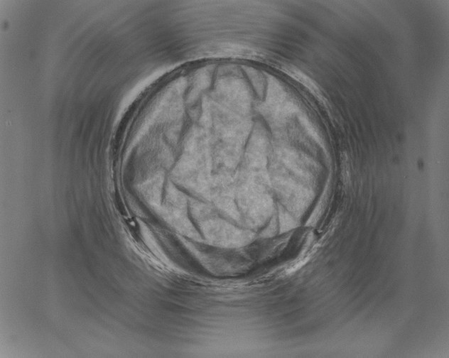 X0000066961120200604211834