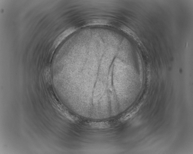 X0000066961121200604211834