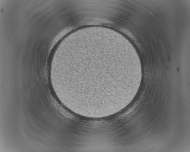 X0000066961122200604211834