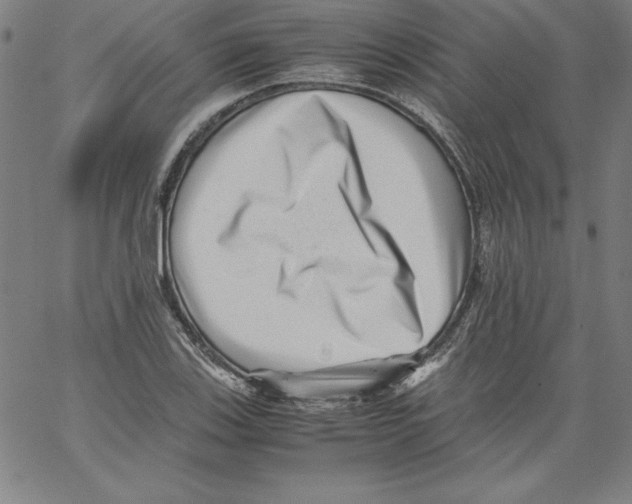 X0000066961123200604211834