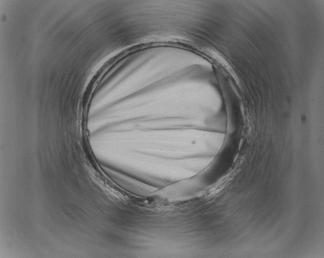 X0000066961124200604211834