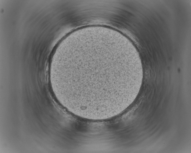 X0000066961126200604211834