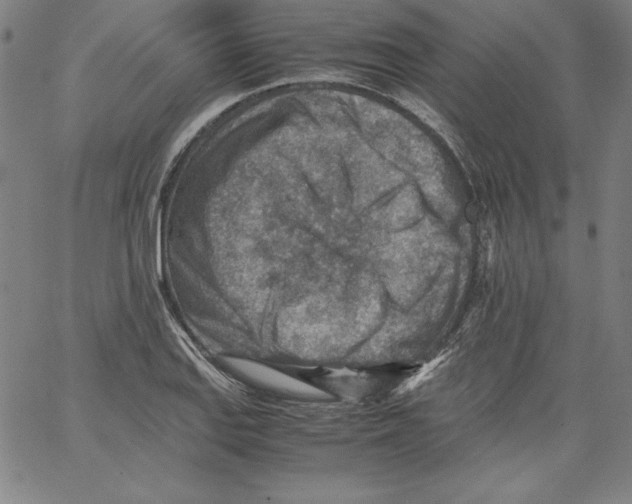 X0000066961127200604211834