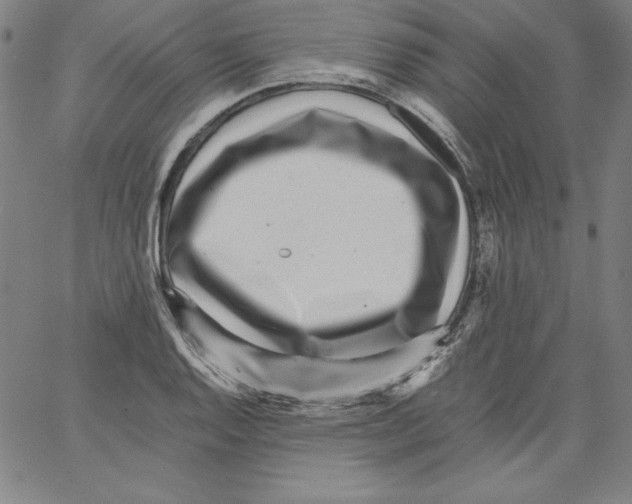 X0000066961128200604211834