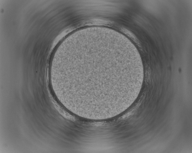 X0000066961130200604211834