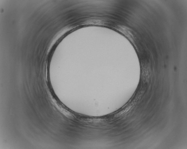 X0000066961131200604211834