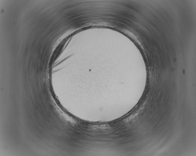 X0000066961133200604211834