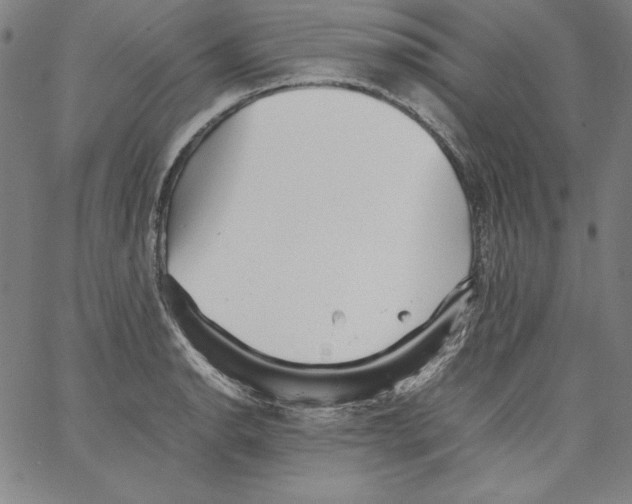 X0000066961134200604211834