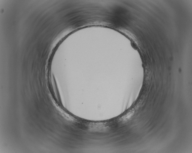 X0000066961135200604211834