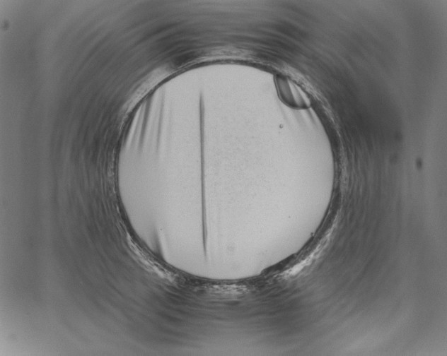 X0000066961137200604211834