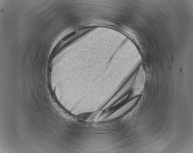 X0000066961138200604211834