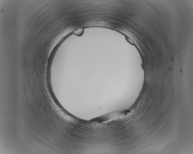 X0000066961139200604211834