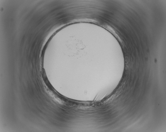 X0000066961140200604211834