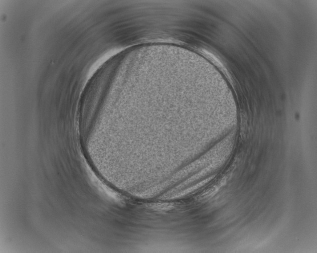 X0000066961141200604211834