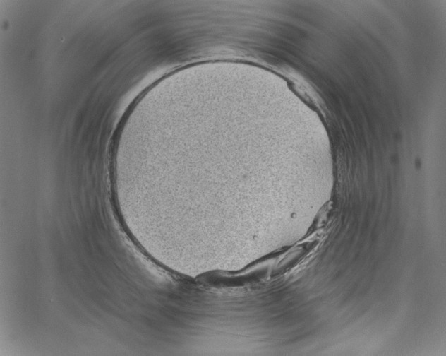 X0000066961142200604211834