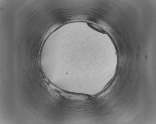 X0000066961145200604211835