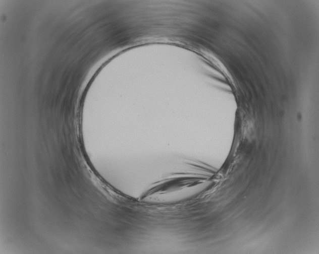 X0000066961148200604211835