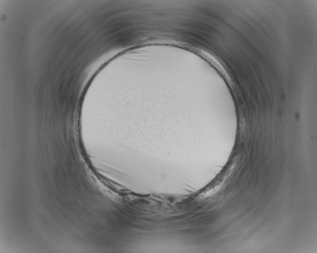 X0000066961149200604211835