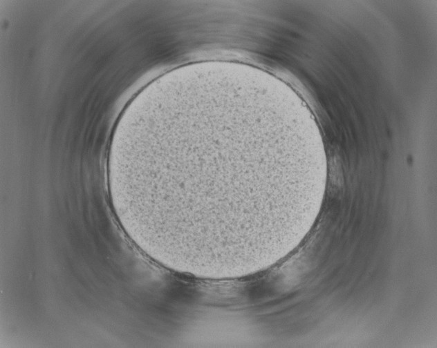 X0000066961150200604211835