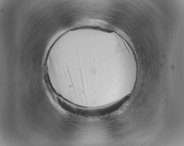 X0000066961152200604211835